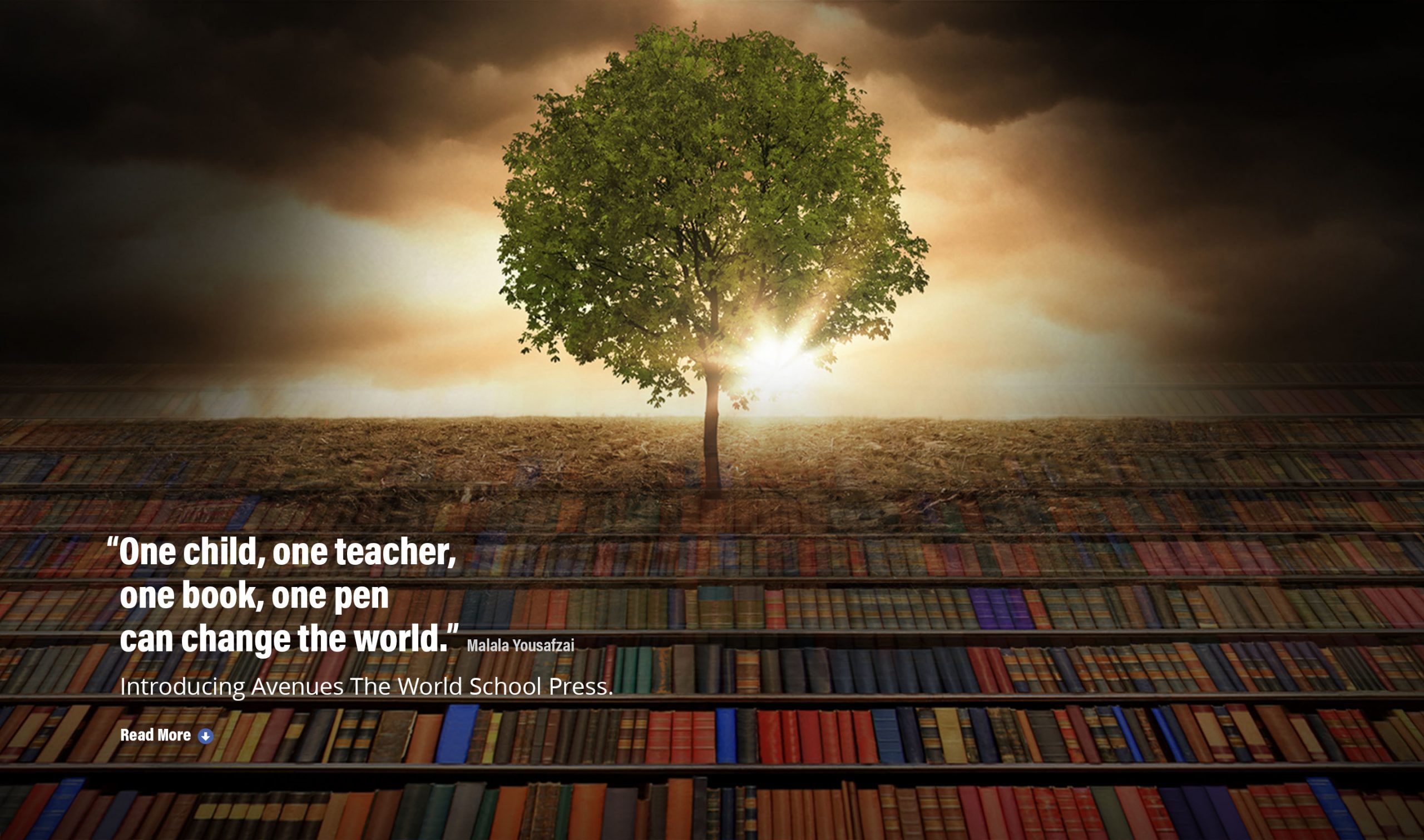 The sun shines through a lone tree in a golden field of books. A quote from Malala Yousafzai reads, “One child, one teacher, one book, one pen can change the world.” Additional text reads, “Introducing Avenues The World School Press.” Click the image to read more.